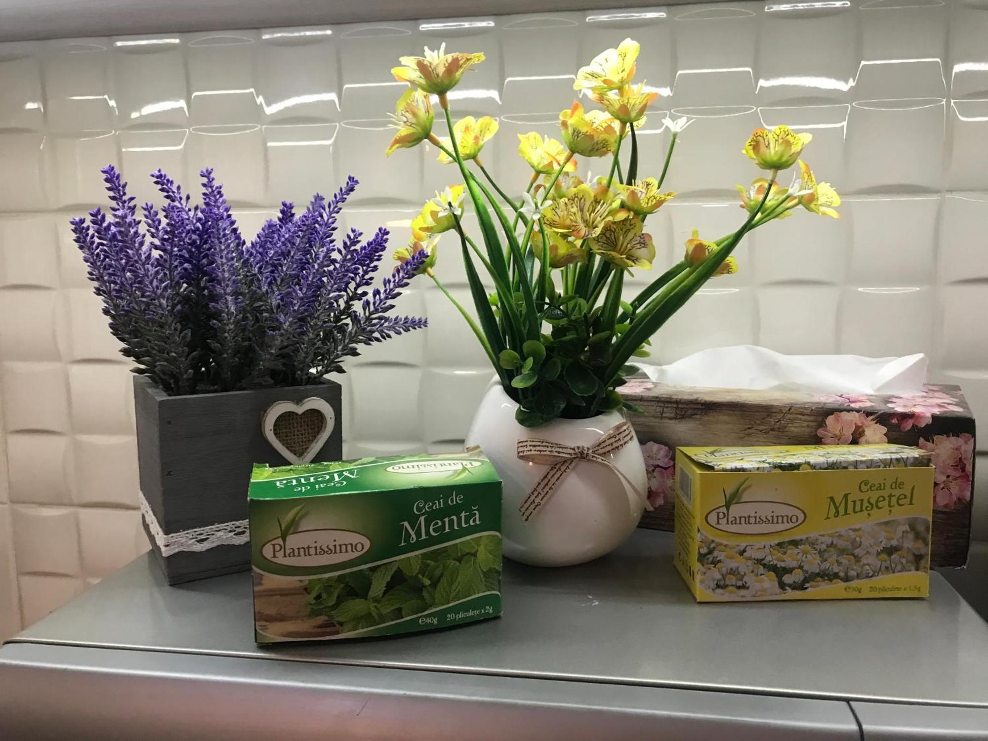 Vio Apartment 부쿠레슈티 외부 사진